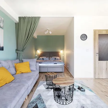 公寓式酒店 Klinovec Views 4*