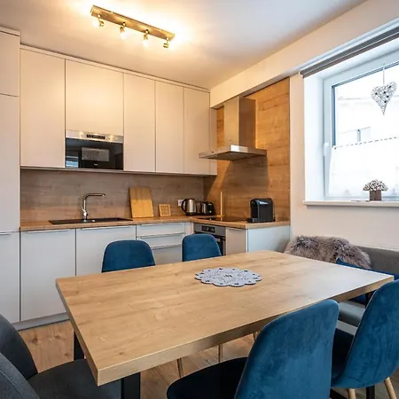 公寓式酒店 Klinovec Views Loučná pod Klínovcem