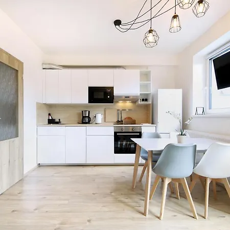 公寓式酒店 Klinovec Views Loučná pod Klínovcem