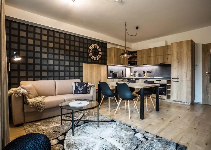 アパートホテル Klinovec Views