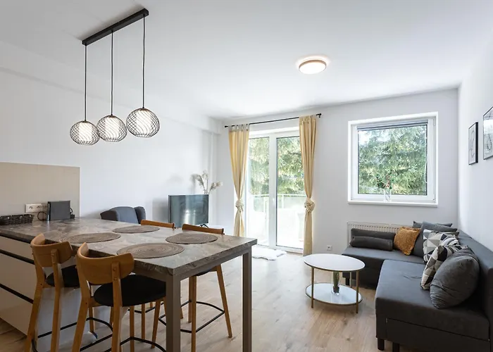 アパートホテル Klinovec Views